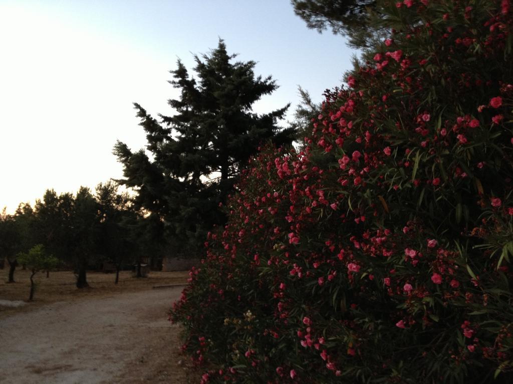 카스텔루치오 La Giara San Vito Lo Capo 빌라 외부 사진